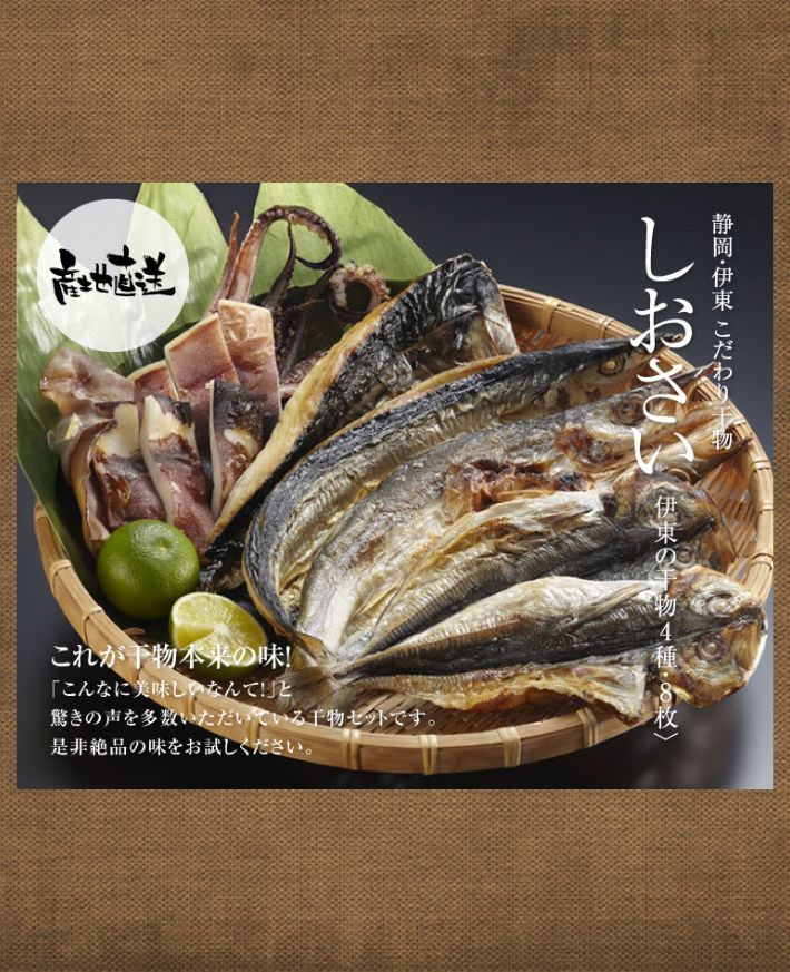 【産直商品】　静岡・伊東 こだわり 干物　「しおさい」